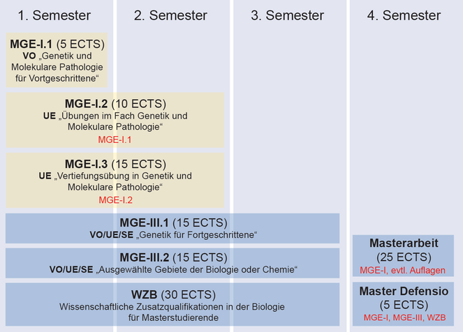 Coursework structure of the Master study program "Genetics and Developmental Biology" (focal area "Genetics and Molecular Pathology")