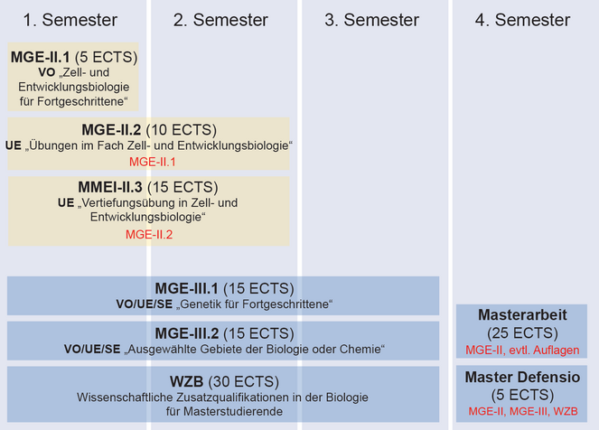 Coursework structure of the Master study program "Genetics and Developmental Biology" (focal area "Cell and Developmental Biology")