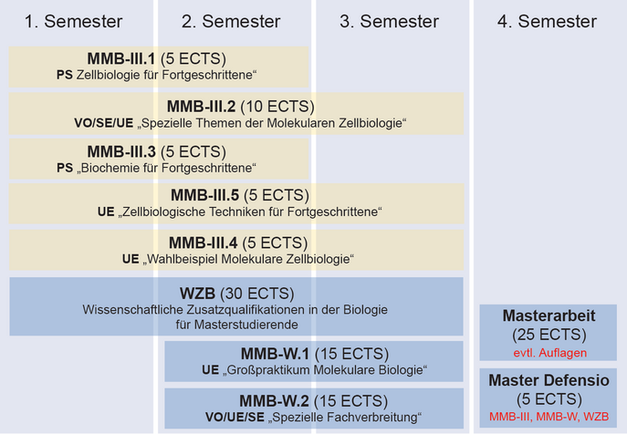 Coursework structure of the Master study program "Molecular Biology" (focal area "Molecular Cell Biology")