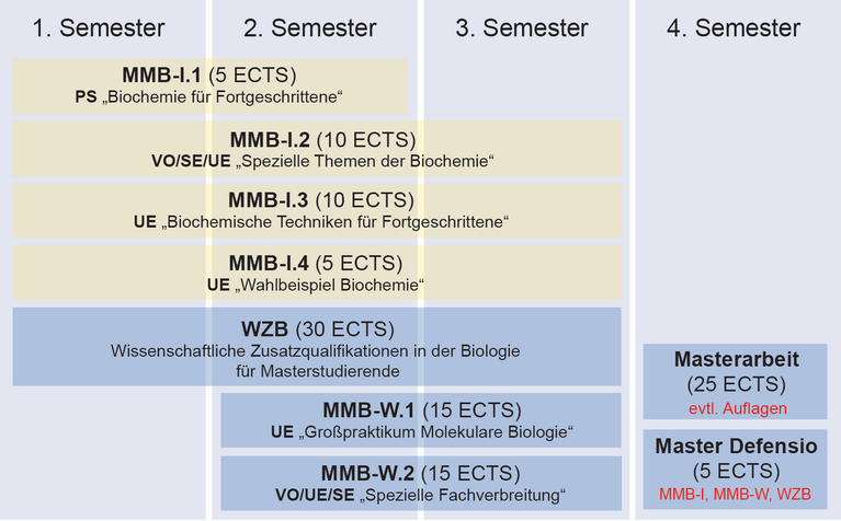 Coursework structure of the Master study program "Molecular Biology" (focal area "Biochemistry")
