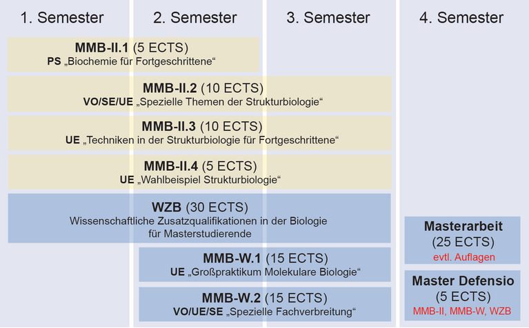 Coursework structure of the Master study program "Molecular Biology" (focal area "Molecular Structural Biology")