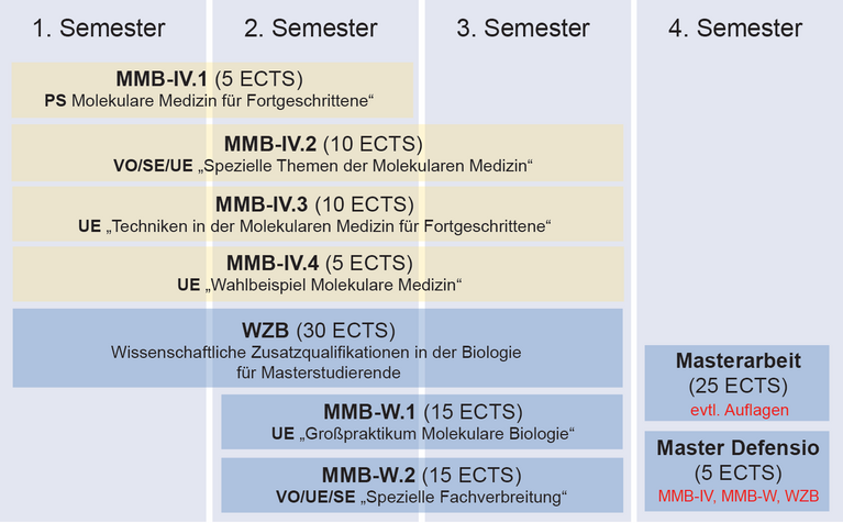 Coursework structure for Master program "Molecular Biology" (focal area "Molecular Medicine")