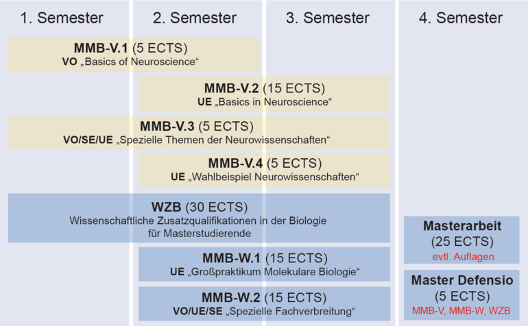 Coursework structure for Master program "Molecular Biology" (focal area "Neurosciences")